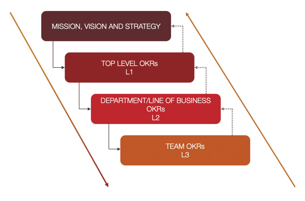 OKR Consulting Levels